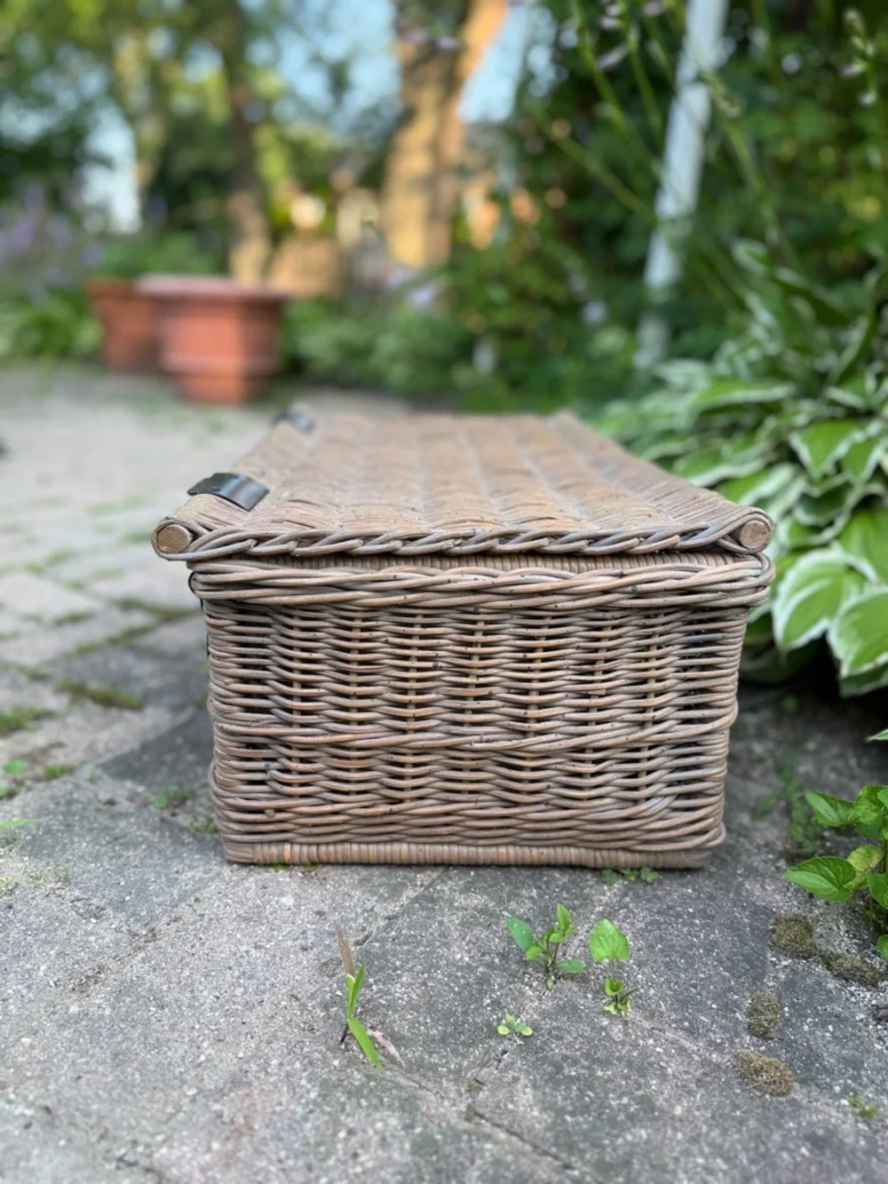Pottery Barn Wicker Storage Trunk